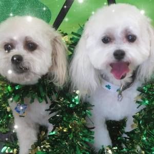 Meet your Posher, Sue